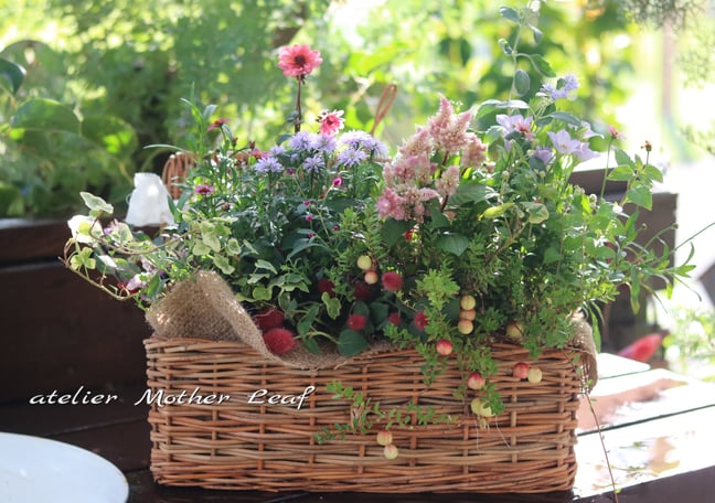 fit=cover,w=648,h=456