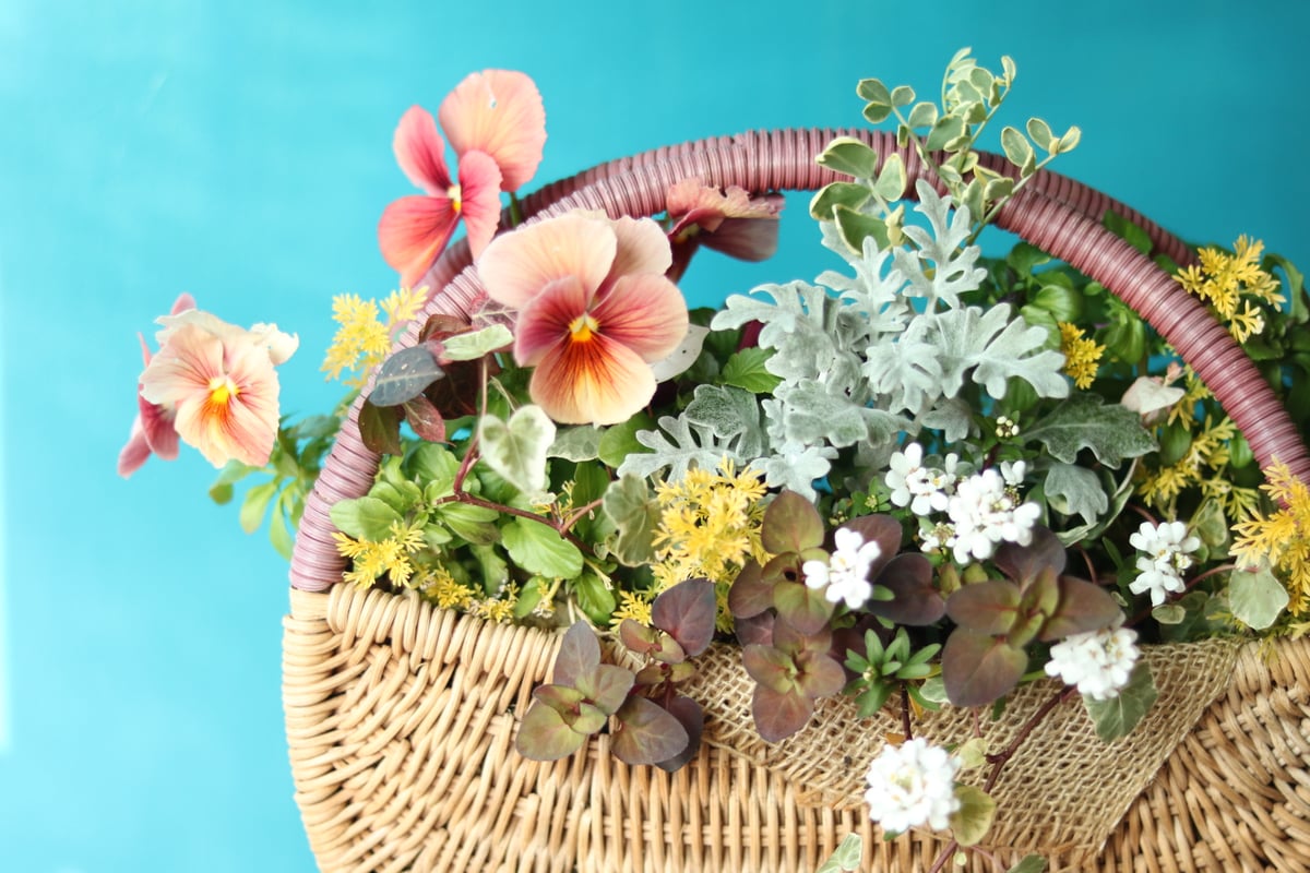 パンジーのブリコラージュフラワー（バスケット） | atelier mother leaf