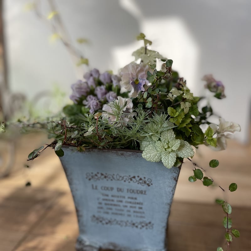 ビオラとジュリアンの春のブリコラージュフラワー(寄せ植え) | atelier
