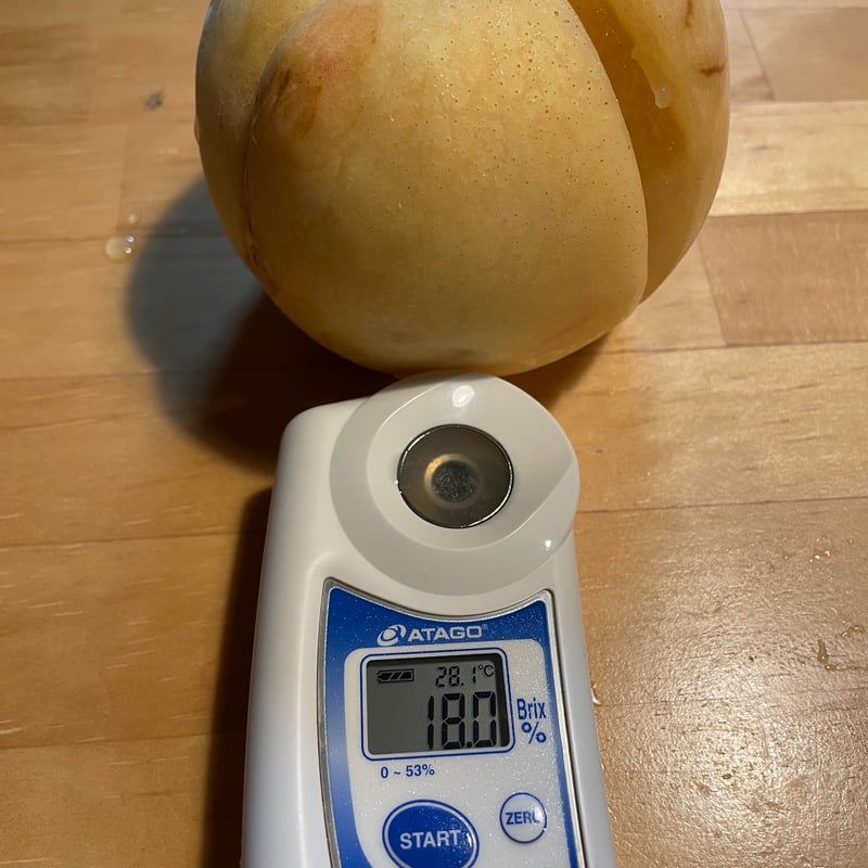 硬い桃　8キロ　thu phương 2025年・CX】超希少晩成品種！シャキシャキ食感の硬い白桃・ご自宅用