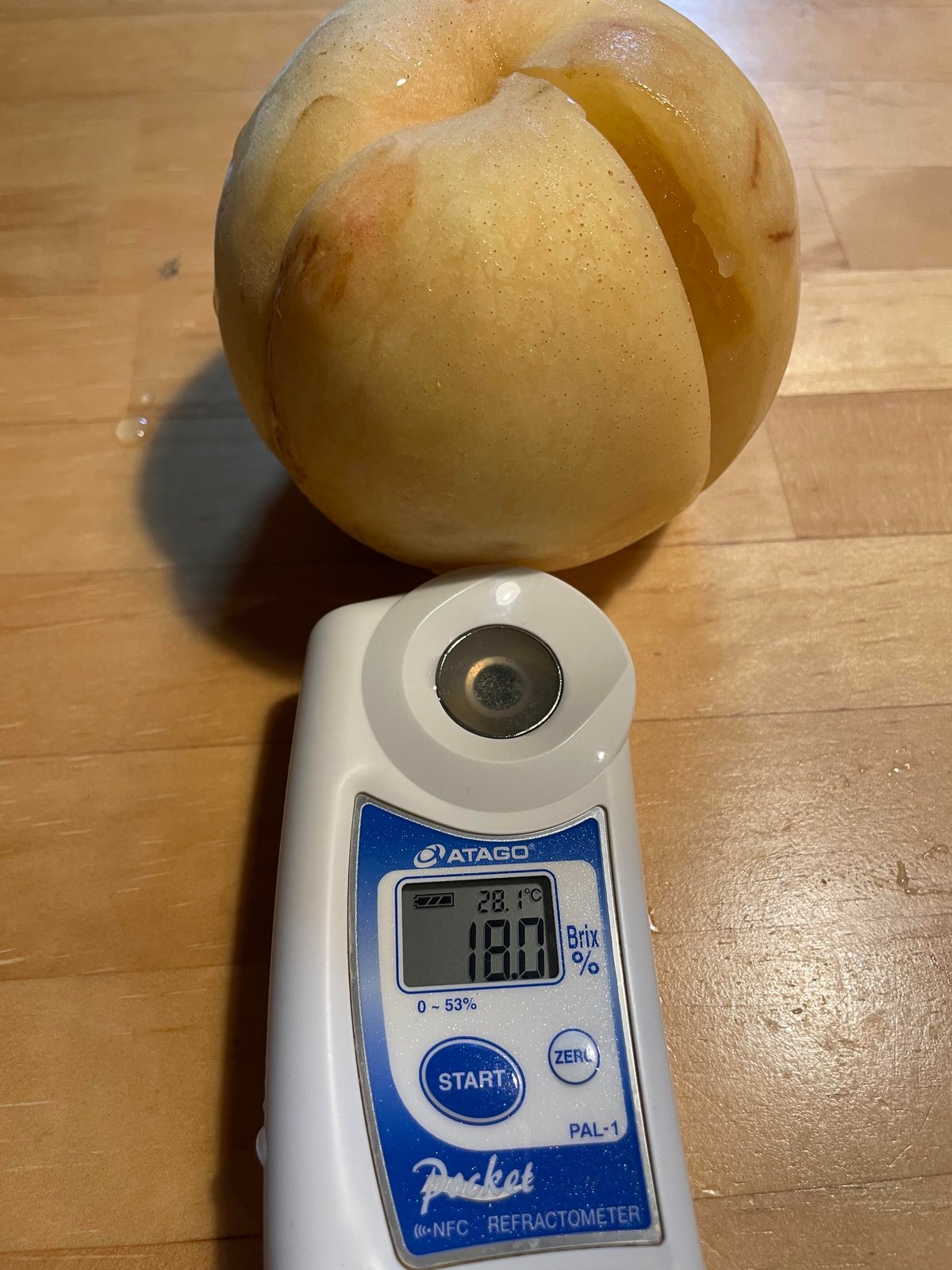 白桃主義 2025年・CX】超希少晩成品種！シャキシャキ食感の硬い白桃・ご自宅用