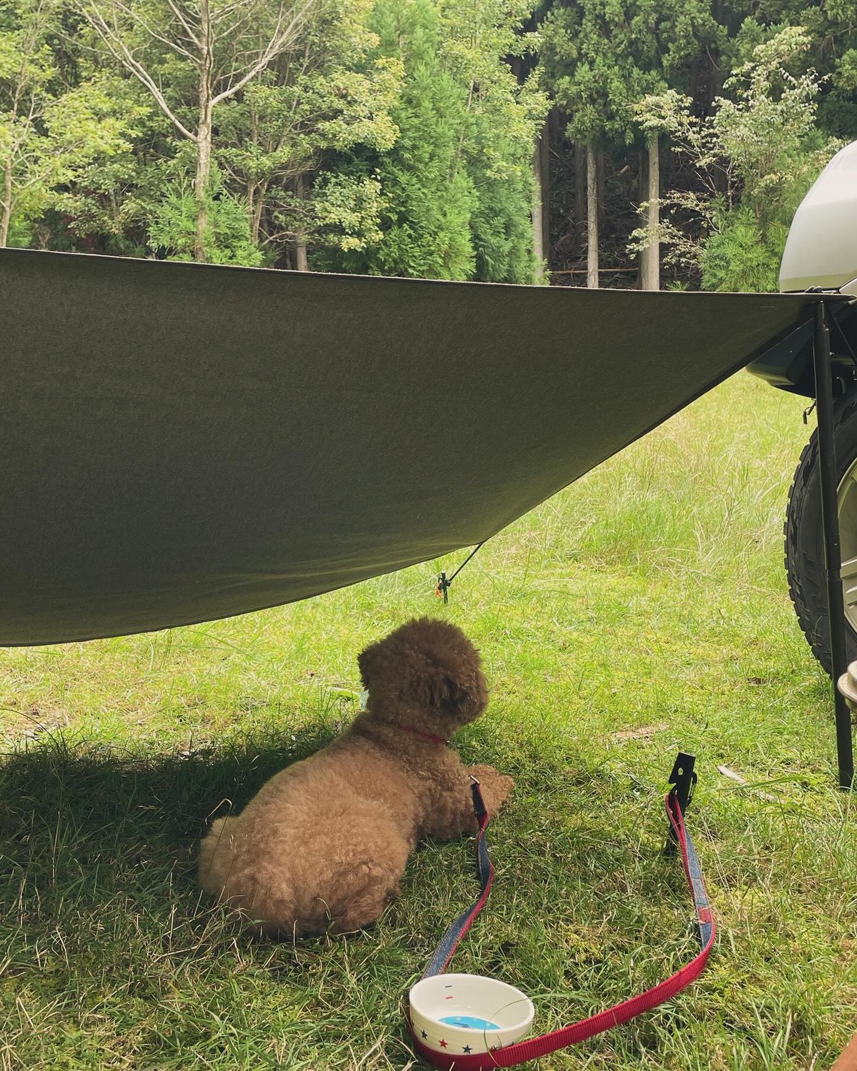 子どもとの思い出作りに】かんたんタープ(カフェベージュ) 他キャンプ