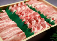 マテラ豚BBQセット
