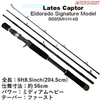 清流シーバスロッド TORRENT(トラント) S90MH 9ft MH(ミディアムヘビー