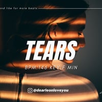 フリートラック『Tears』 パラデータ＋商用利用権利＋WAVデータ