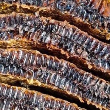 日本蜜蜂の蜂蜜250g蜂の巣入り