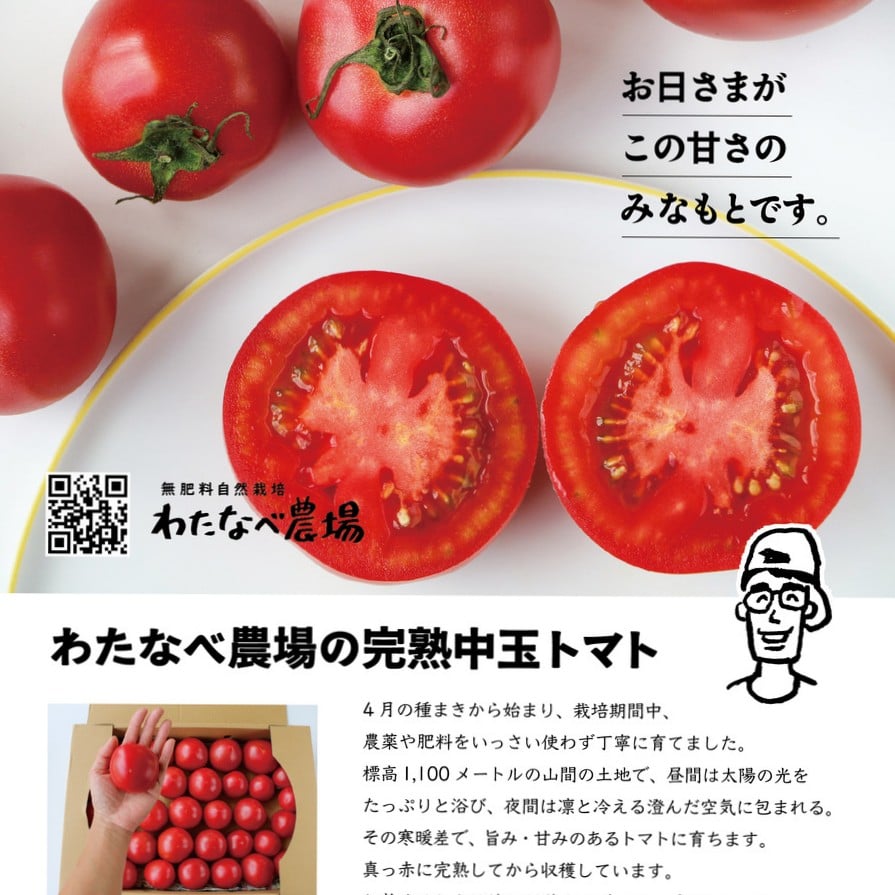 大好評!わたなべさんの中玉トマト | Watanabe farm