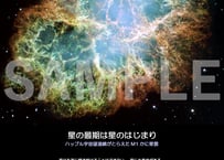 宇宙の展示パネル「COSMOS」4/6　A2サイズ