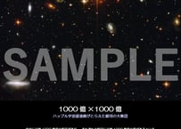 宇宙の展示パネル「COSMOS」1/6　A2サイズ