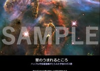 宇宙の展示パネル「COSMOS」3/6　A2サイズ
