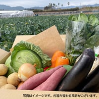 【Sサイズ】宮崎県産 詰め合わせ野菜BOX【７品】★クール便