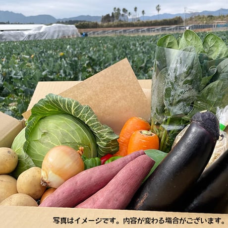 【Mサイズ】宮崎県産 詰め合わせ野菜BOX【10品】★クール便