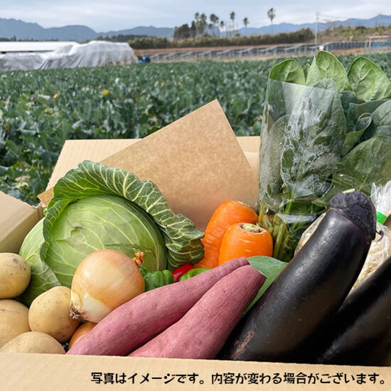 Mサイズ】宮崎県産 詰め合わせ野菜BOX【10品】☆クール便 | このはな市 