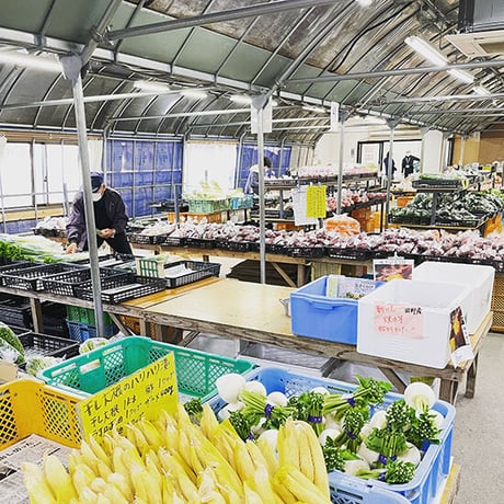 【Mサイズ】宮崎県産 詰め合わせ野菜BOX【10品】★クール便