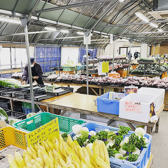 Sサイズ】宮崎県産 詰め合わせ野菜BOX【7品】☆クール便 | この