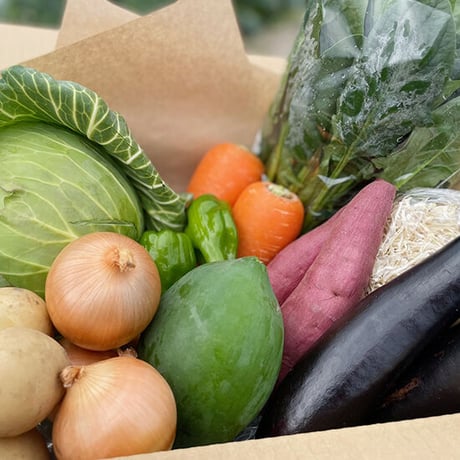 【Mサイズ】宮崎県産 詰め合わせ野菜BOX【10品】★クール便