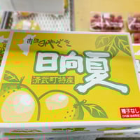金山さんのみやざき日向夏みかん［箱入り 13玉入］ | このはな市
