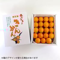 38【宮崎県産】マンゴー　(完熟マンゴー)　 2Lサイズ 9玉入 宮崎県産完熟マンゴー［2Lサイズ／1玉パック］ | このはな市