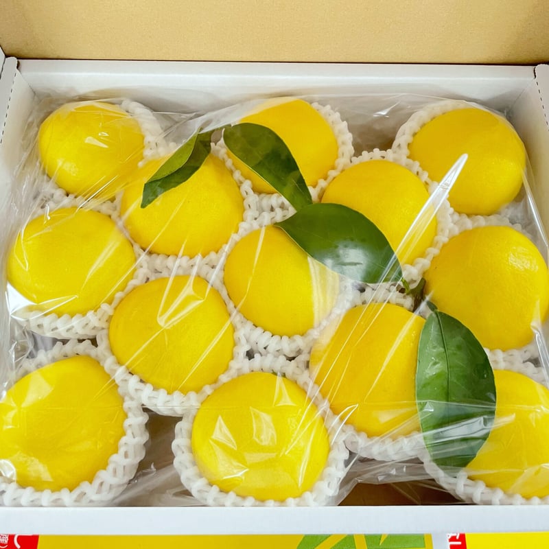 金山さんのみやざき日向夏みかん［箱入り 13玉入］ | このはな市