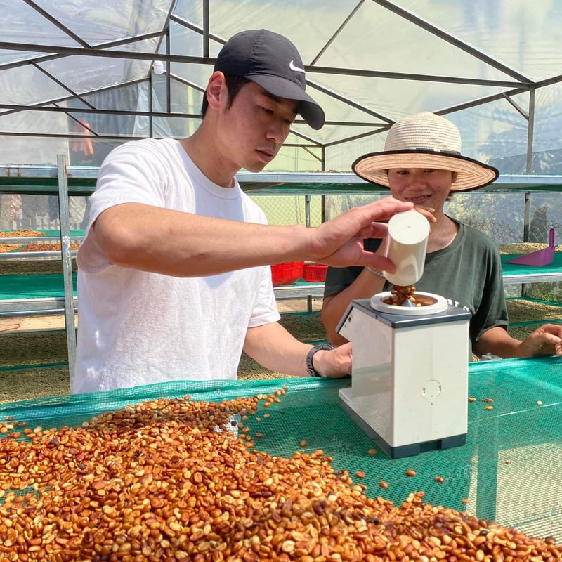 コーヒー豆 ベトナム ランビアンコーヒープロジェクト コホー ファイン