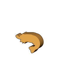 海老型コマ