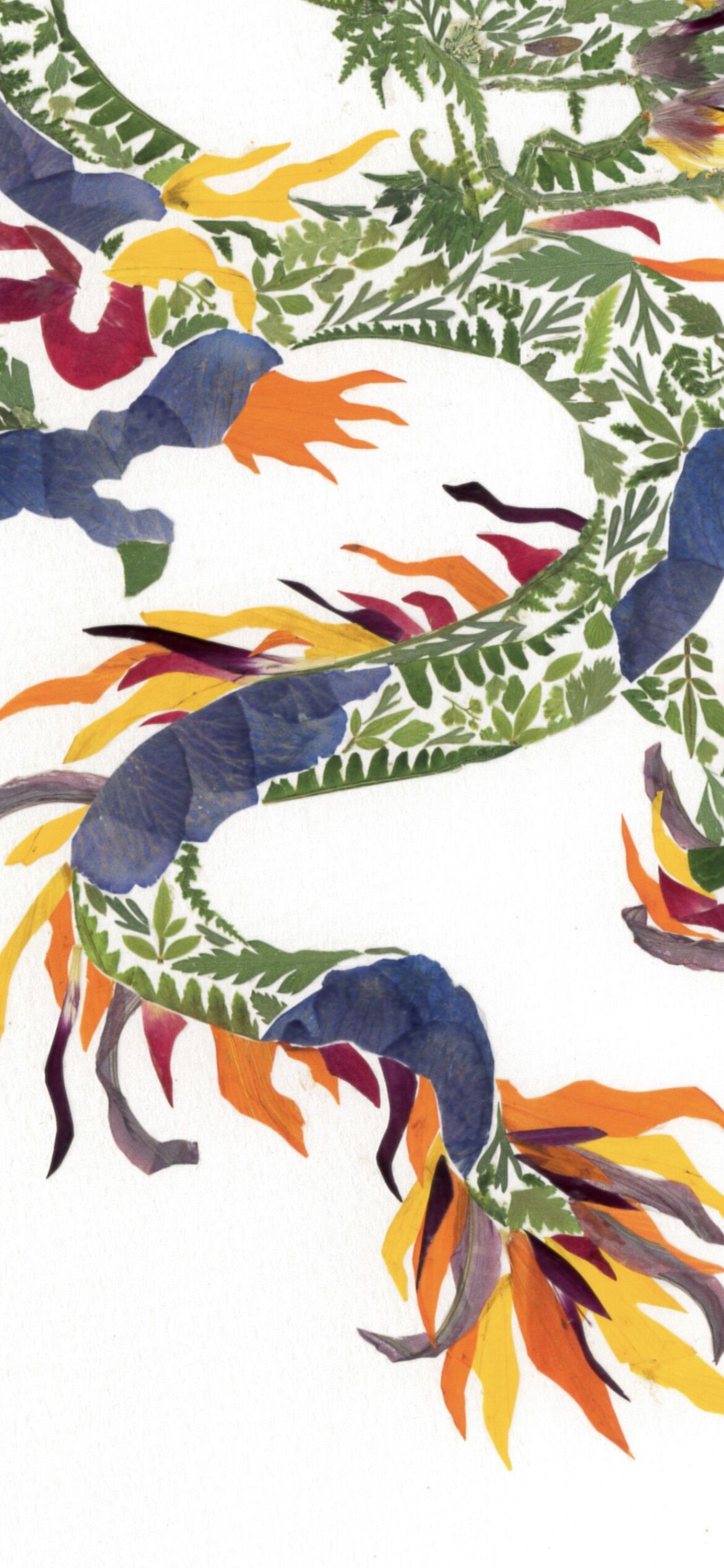 昇り龍】| Order | salvaworks 