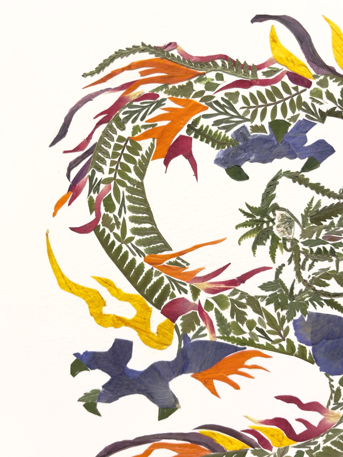 昇り龍｜ Chimitsu series | salvaworks