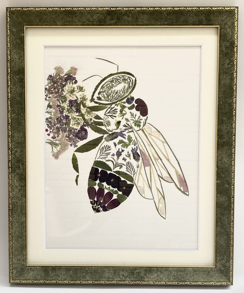 ニホンミツバチ | salvaworks