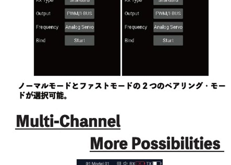 Flysky FS-G11P（11Ch 送受信機セット）※日本語ファーム適用済 | Ware