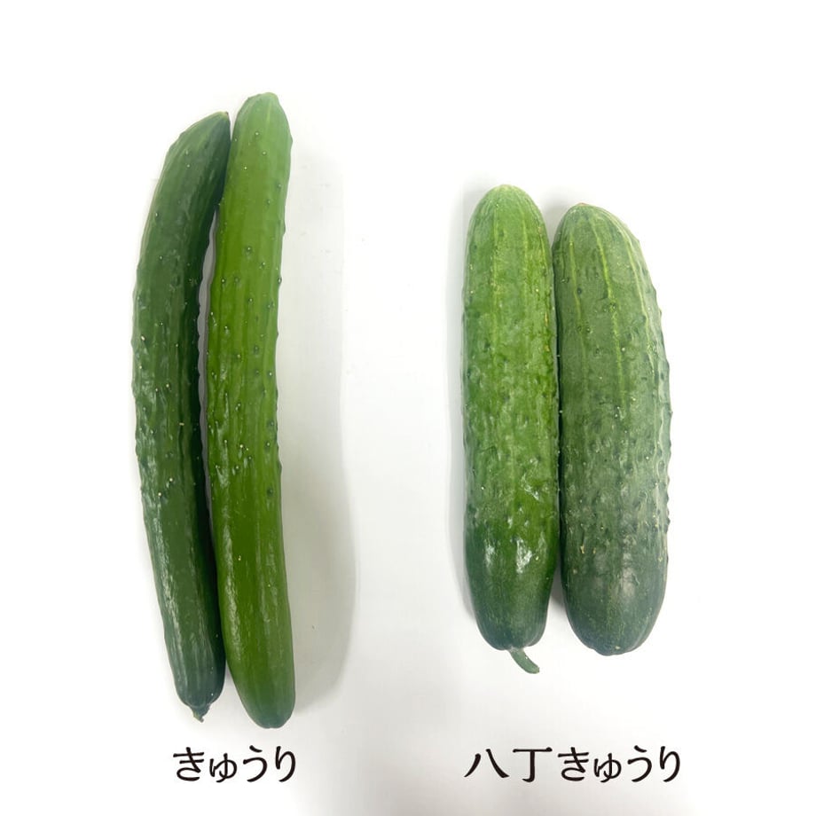 62cbb5749b47bf4e52f70439