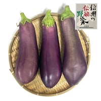 信州の伝統野菜　天龍村産　ていざなす　4個、8個