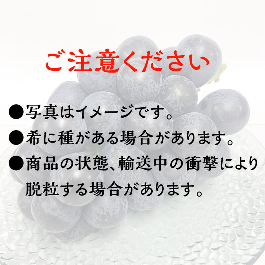 631882f70f9a22651f34bea8