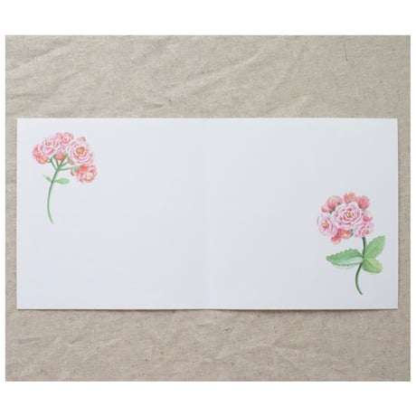 グリーティングカード　カランディーバの花・小鳥　KALANCHOE COLLECTION