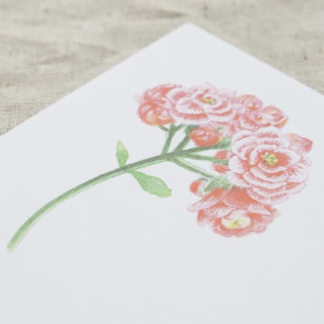 グリーティングカード　カランディーバの花・小鳥　KALANCHOE COLLECTION