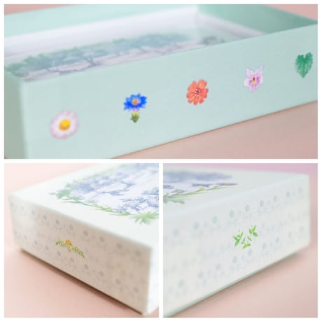 メッセージカードBOX　ボタニカル&アニマルズ