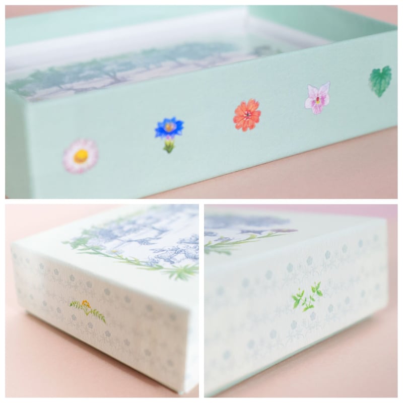 メッセージカードBOX ボタニカル&アニマルズ | Kalanchoe 雑貨店
