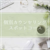 ②スポットコース（AGA、FAGAの方に人気）