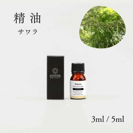 【精油】サワラ枝葉
