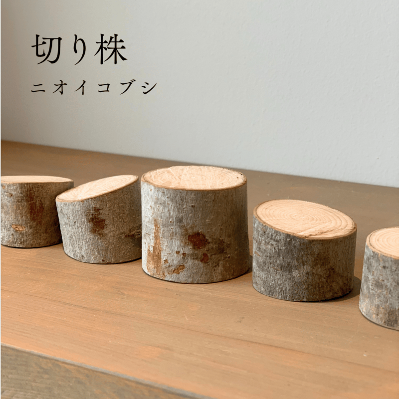 ちいさな切り株 | AROMA SELECT