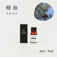 【精油】クロマツ枝葉