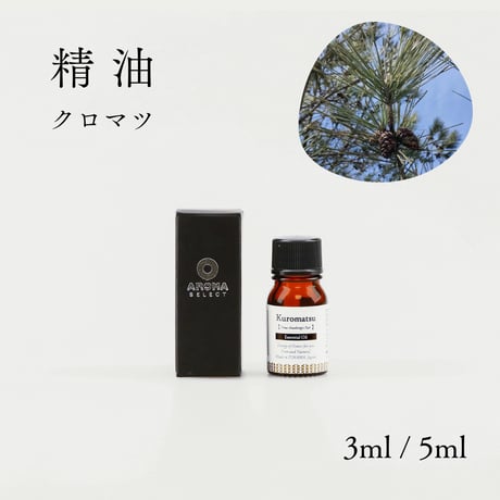 【精油】クロマツ枝葉