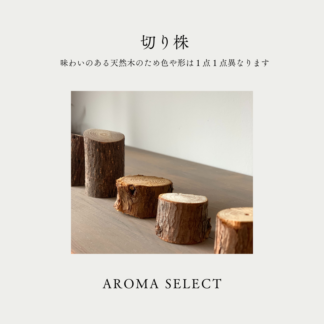 天然木　自然木　切り株 ちいさな切り株 | AROMA SELECT