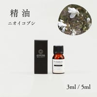 【精油】ニオイコブシ 　枝葉