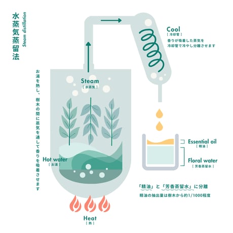 【リード型ディフューザーセット】ダブル