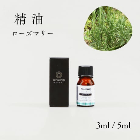 【精油】ローズマリー