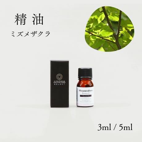【精油】ミズメザクラ枝葉