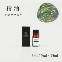 【精油】タテヤマスギ 枝葉