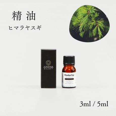 【精油】ヒマラヤスギ  枝葉