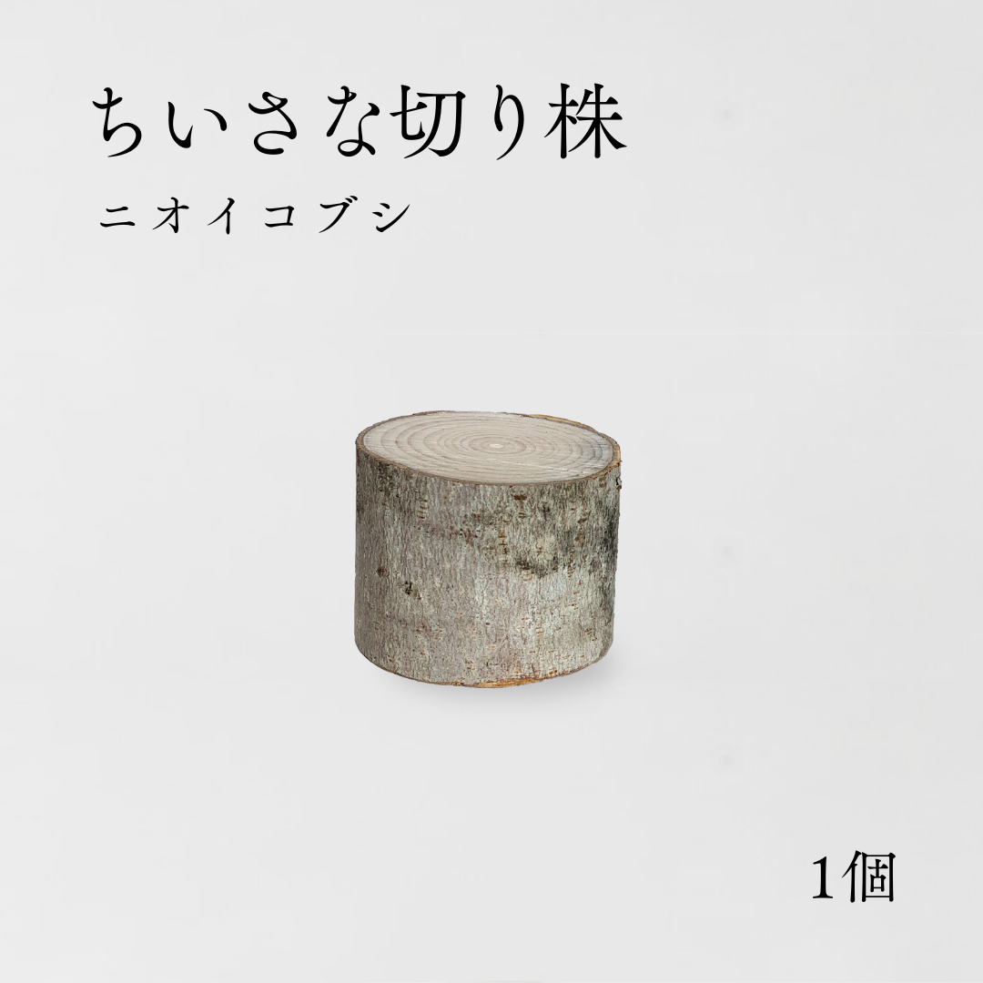 ちいさな切り株 | AROMA SELECT