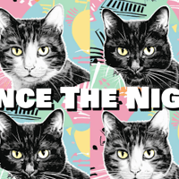 ［フリートラック/FREE] “Dance The Night/“ 四つ打ち/Pop/House/colorful/Type Beat/Hip Hop/rap/BPM120
